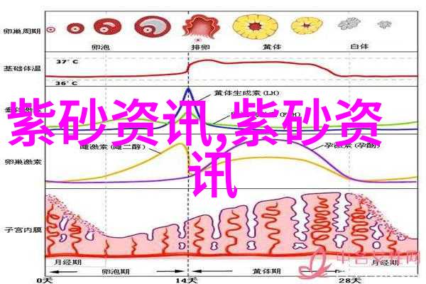 贵州风情紫砂壶问世