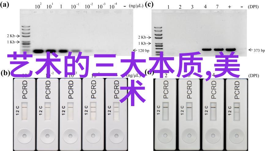雅贿书画齐白石作品最受欢迎